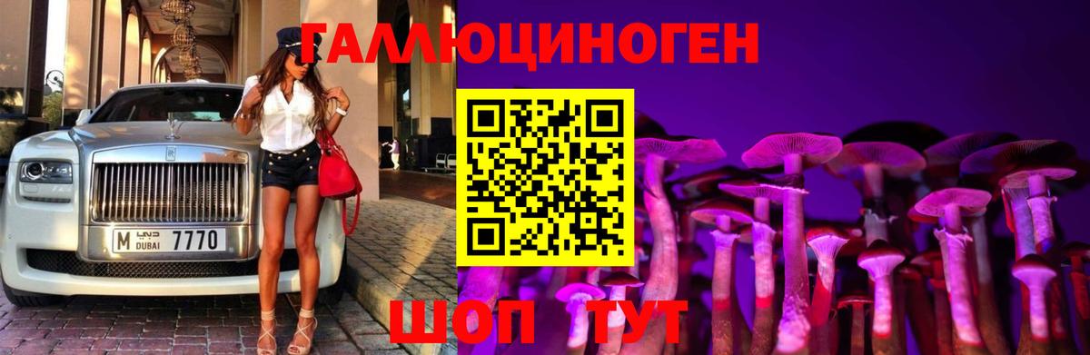 Алейск  Псилоцибиновые грибы Psilocybe  Псилоцибиновые грибы мухоморы  Вход с VPN 